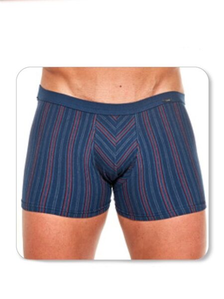 Vīriešu bokseršorti VARIOUS CORNETTE Mini 228/122